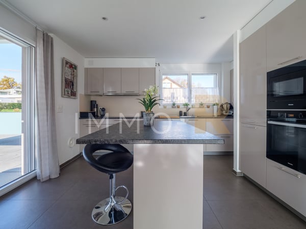 Magnifique appartement de 1.5pces  avec terrasse d'exception 3