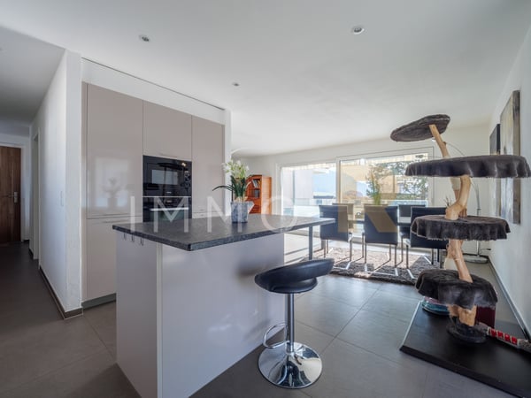 Magnifique appartement de 1.5pces  avec terrasse d'exception 5