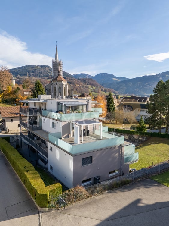 Magnifique appartement de 1.5pces  avec terrasse d'exception 1