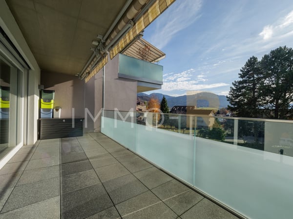 Magnifique appartement de 1.5pces  avec terrasse d'exception 2