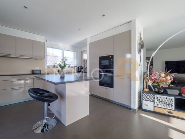 Magnifique appartement de 1.5pces  avec terrasse d'exception 4