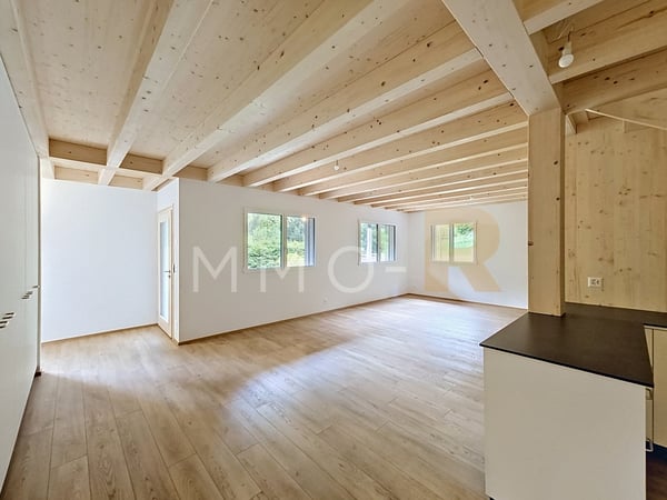 Chalet 5,5 pièces entièrement rénové au calme, entre verdure et forêt 2