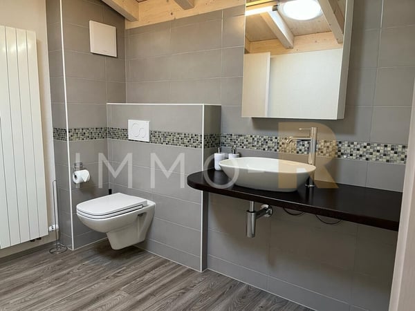 Magnifique attique 4.5pces et mezzanine 7