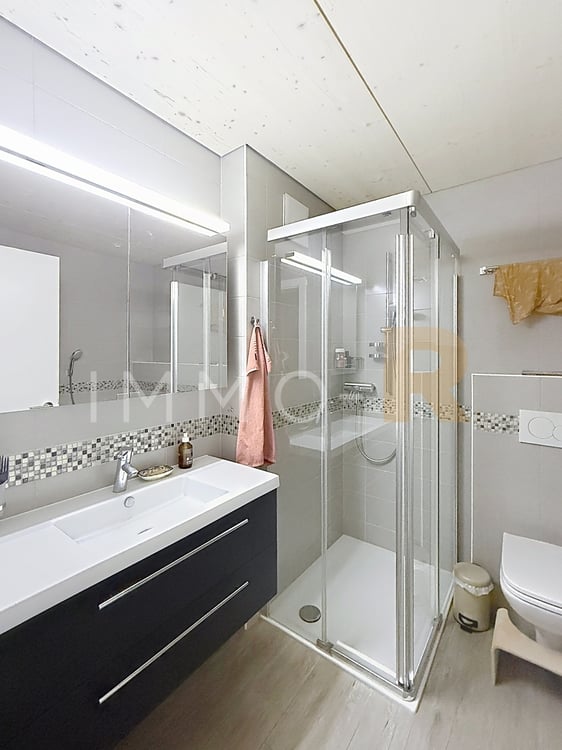 Magnifique attique 4.5pces et mezzanine 8