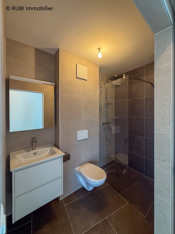 Superbe appartement neuf de 4.5 pièces avec grande terrasse 9