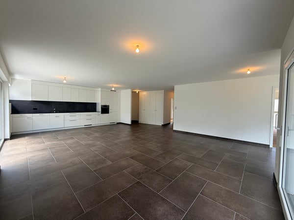 Superbe appartement neuf de 4.5 pièces avec grande terrasse 11