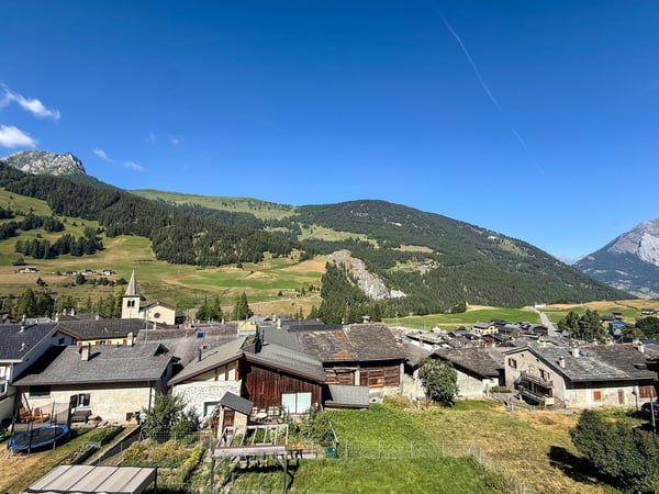 Ancien raccard transformé en chalet d'habitation — rénovation intégrale 2022 15