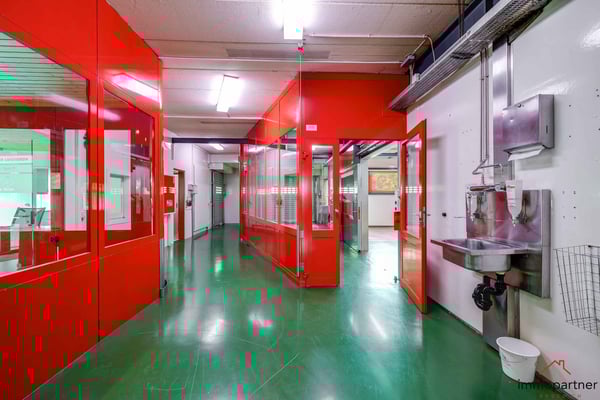 Vielseitiges Gewerbe- und Einzelhandelsobjekt mit Tiefgarage 4