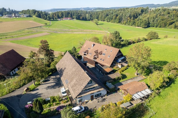 Einmalige Gelegenheit - Grundstück mit Einfamilienhaus und Mehrfamilienhaus 2