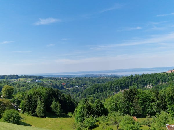 Mehrfamilienhaus oder Generationenhaus mit Einliegerwohnung 1