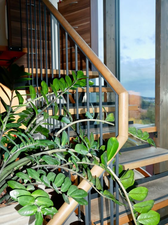 Mehrfamilienhaus oder Generationenhaus mit Einliegerwohnung 7