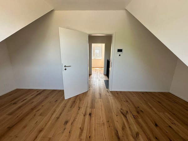 Modernes Doppeleinfamilienhaus in Untereggen 13