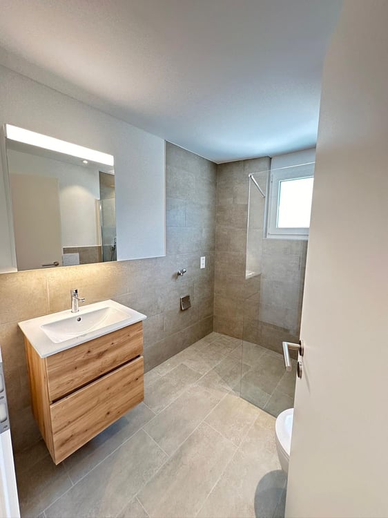 Modernes Doppeleinfamilienhaus in Untereggen 11