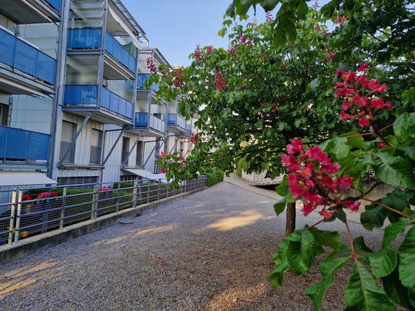Einmalige 4.5-Zimmer-Maisonette-Wohnung in St. Gallen-Winkeln 1