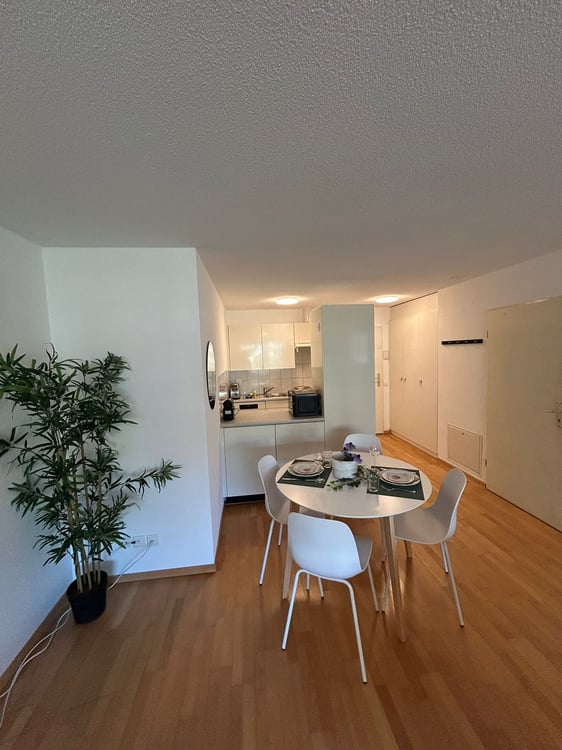 Neugasse 83 – Stylish Newly Furnished Studio in the Heart of Zurich! 3