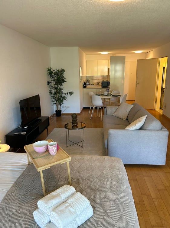Neugasse 83 – Stylish Newly Furnished Studio in the Heart of Zurich! 2