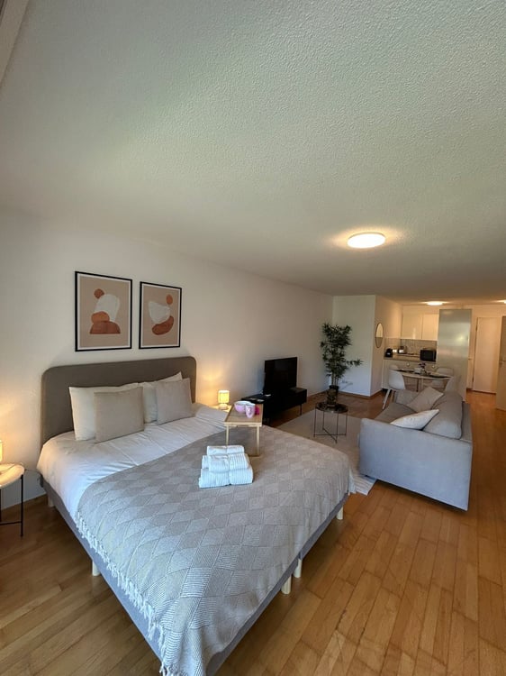 Neugasse 83 – Stylish Newly Furnished Studio in the Heart of Zurich! 1