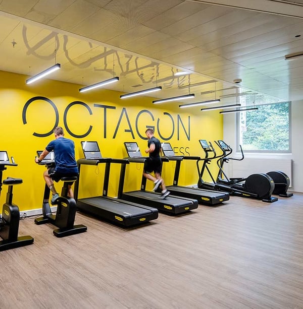 Studio rénové, proche Nations, Palexpo et aéroport de Genève 8