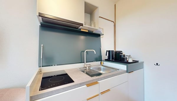 Limited-Time Offer – Cozy Single Studio at Hotel Alpenblick, Bern! 3