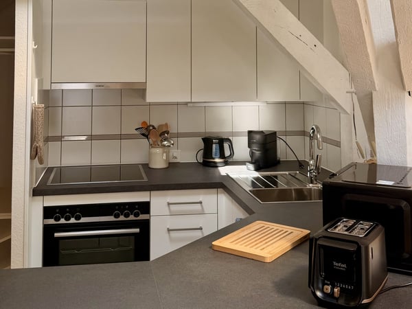 Charmant appartement meublé 1 chambre sous les toits avec poutres apparentes – Servette, Genève 7