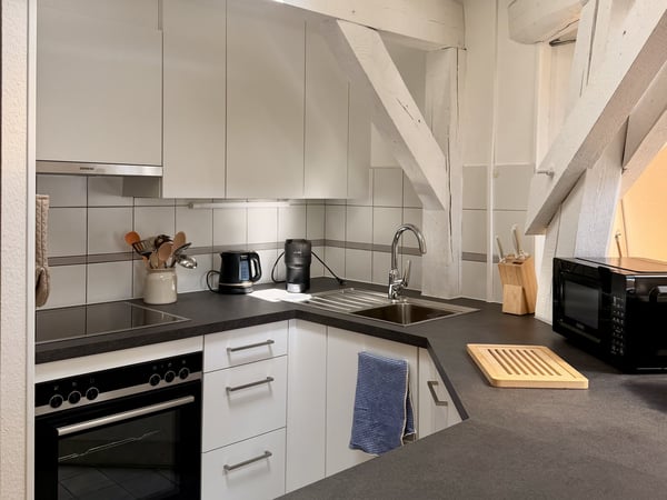 Charmant appartement meublé 1 chambre sous les toits avec poutres apparentes – Servette, Genève 6