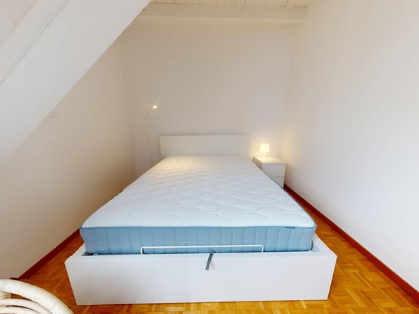 Charmant appartement meublé 1 chambre sous les toits avec poutres apparentes – Servette, Genève 8