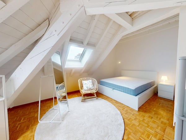 Charmant appartement meublé 1 chambre sous les toits avec poutres apparentes – Servette, Genève 9