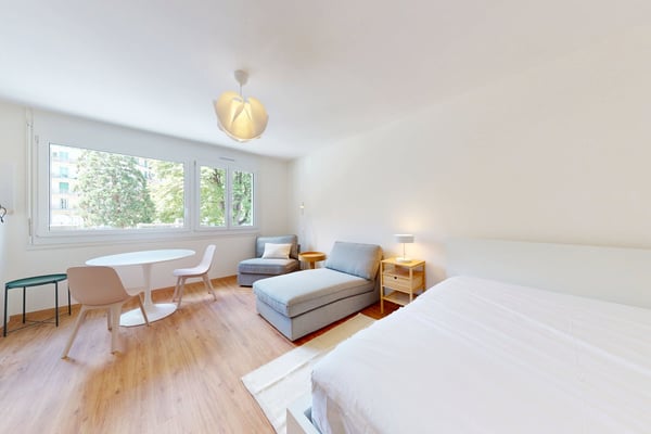 Furnished 16 m² Studio with Separate Kitchen – Plainpalais, Geneva 1