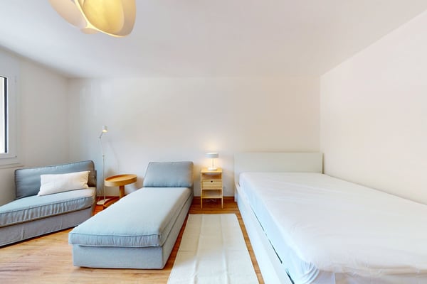 Furnished 16 m² Studio with Separate Kitchen – Plainpalais, Geneva 2