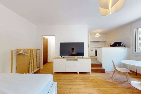 Furnished 16 m² Studio with Separate Kitchen – Plainpalais, Geneva 3