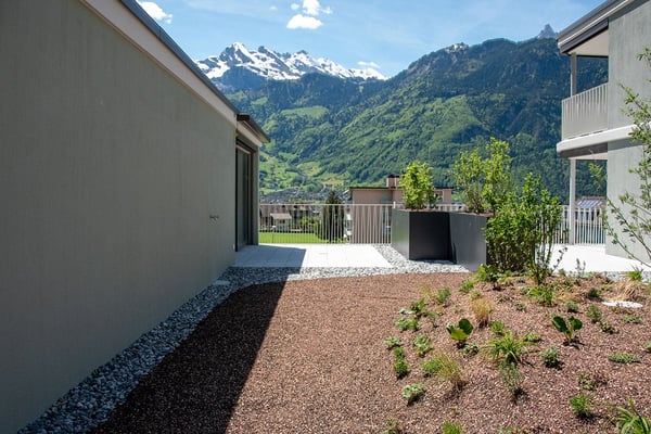3½-Zimmer-Dachgartenwohnung - 8.31 5