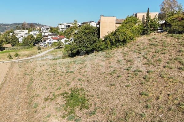 Grundstück 5'515 m² (3'701 m² Bauland) an unverbaubarer Aussichtslage 6