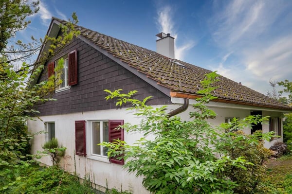 Mit viel Potenzial! 3