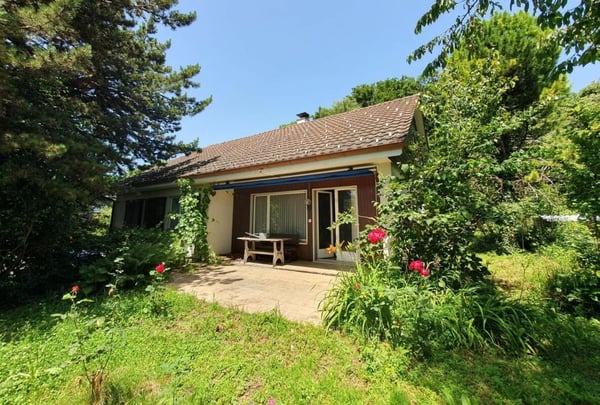 Mit viel Potenzial! 1