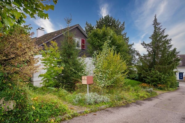 Mit viel Potenzial! 2