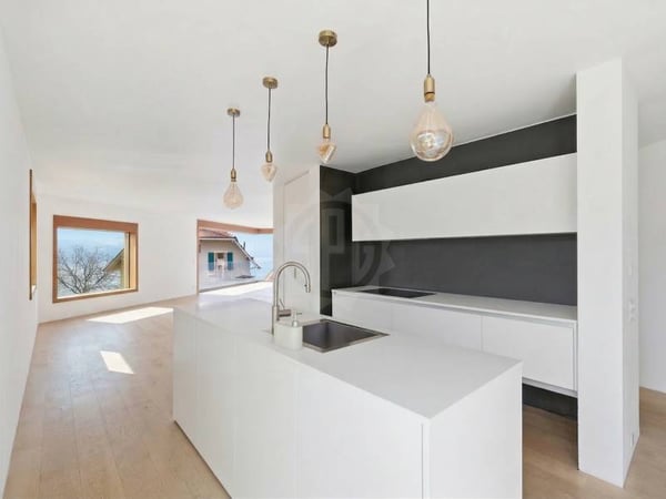 Magnifique appartement - Lutry 3