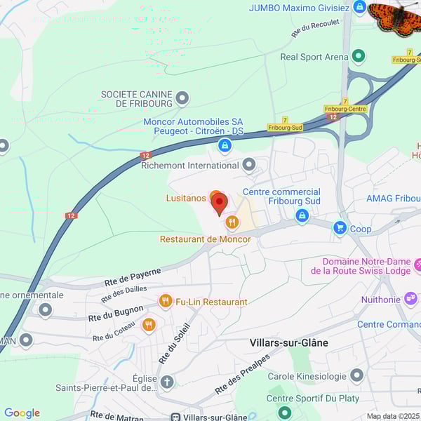 Surface entièrement aménagée dans la ZI du Petit Moncor 8