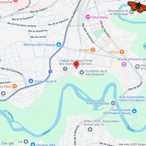 Surface mixte : commerciale et de stockage ! 8