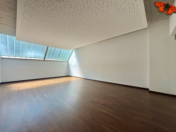 Surface mixte : commerciale et de stockage ! 4