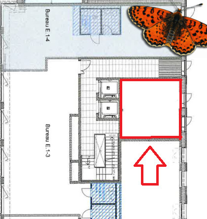 SURFACE BRUTE VITREE DE 6M² - En face de la Gare de Romont ! 5