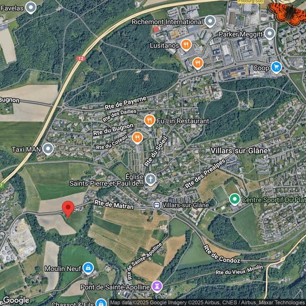 Magnifique 1.5 pces à Villars-sur-Glâne dans nouvelle promotion 6