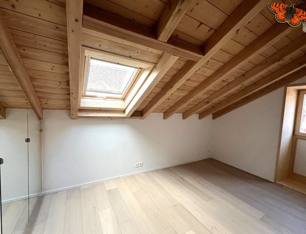 1½ PIÈCES - En attique 4