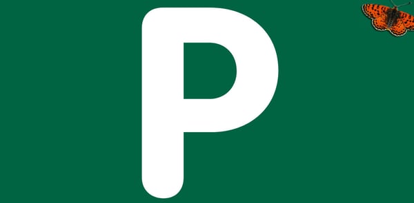 PLACE DE PARC EXTERIEURE- Proche Gare 1