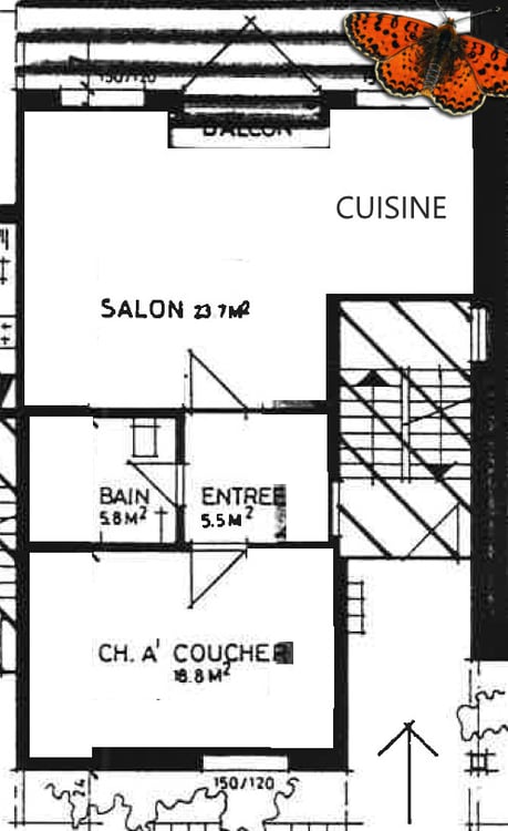 1 ½ PIÈCES - Avec une terrasse! 11
