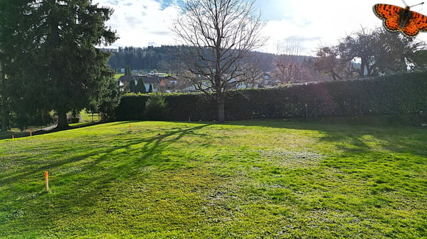 Maison neuve de 3.5 pièces à Épendes avec terrasse plein sud 6