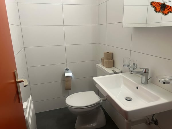 CHARMANT DUPLEX DE 2 ½ PIECES A ROMONT ! 6