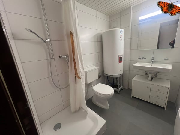 CHARMANT DUPLEX DE 2 ½ PIECES A ROMONT ! 5