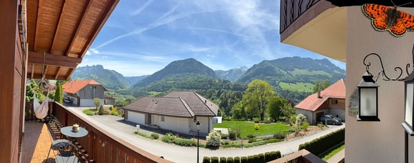 CHARMANT 3 ½ PIECES RENOVE - Grand balcon en V de 25m² ! 9