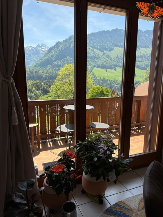 CHARMANT 3 ½ PIECES RENOVE - Grand balcon en V de 25m² ! 6