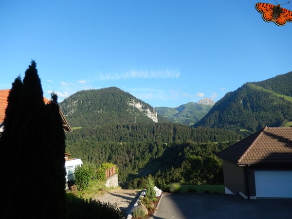 CHARMANT 3 ½ PIECES RENOVE - Grand balcon en V de 25m² ! 4